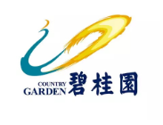 上海碧桂园地产